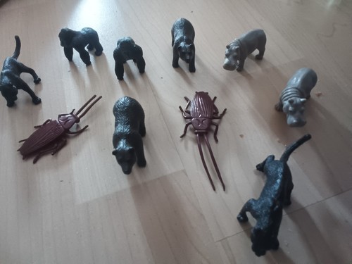 10er set safarere - set,